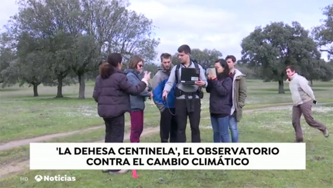 Antena 3 TV emite un reportaje sobre la dehesa de Majadas de Tiétar (Cáceres), donde investigadores del IEGD estudian los efectos del cambio climático