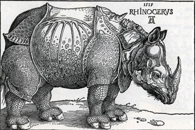 Imagen del rinoceronte