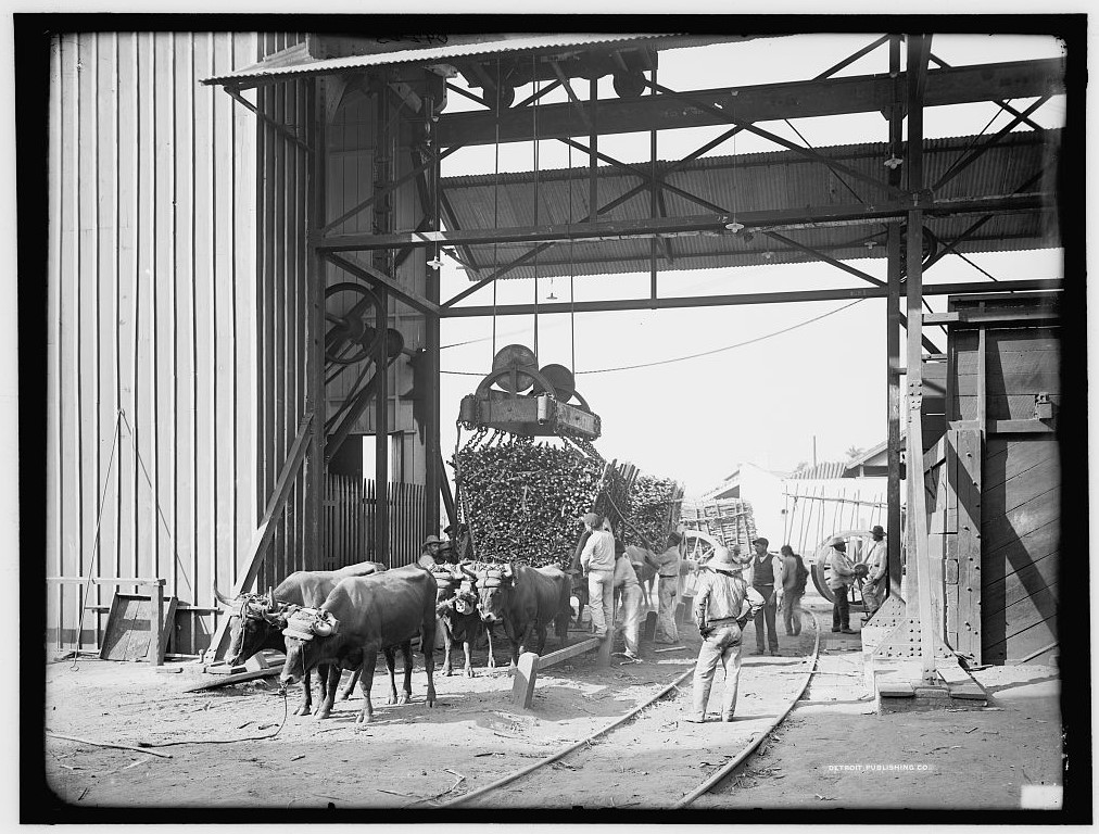 Commodities of Empire