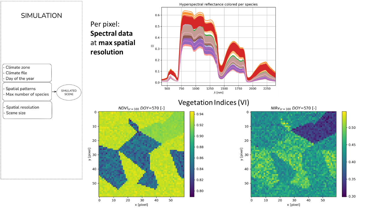 Defensa pública de la Memoria Anual del proyecto Assessing remote and proximal sensing methods for estimating biophysical variables at different spatial resolutions (MOMENTUM-CSIC)