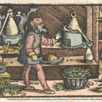 Barbara Boeck (ILC) escribe sobre los logros médicos de la antigua Mesopotamia y el conocimiento farmacéutico de los herboristas asirios y babilonios.