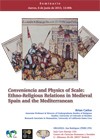 Seminario "Conveniencia and Physics of Scale: Ethno-Religious Relations in Medieval Spain and the Mediterranean"