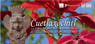 Cartel del evento Presentación del vídeo "Cuetlaxóchitl. La flor ritual prehispánica que se convirtió en símbolo universal de la Navidad"