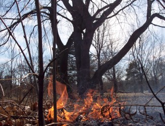 Un equipo internacional desarrollará la primera cartografía histórica de grandes incendios forestales de Europa