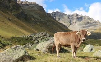 Un estudio arqueológico muestra cómo los seres humanos han transformado la Tierra en los últimos diez mil años Un estudio arqueológico muestra cómo los seres humanos han transformado la Tierra en los últimos diez mil años