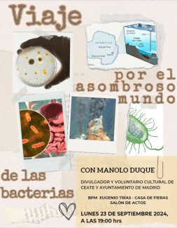 Viaje por el asombroso mundo de las bacterias